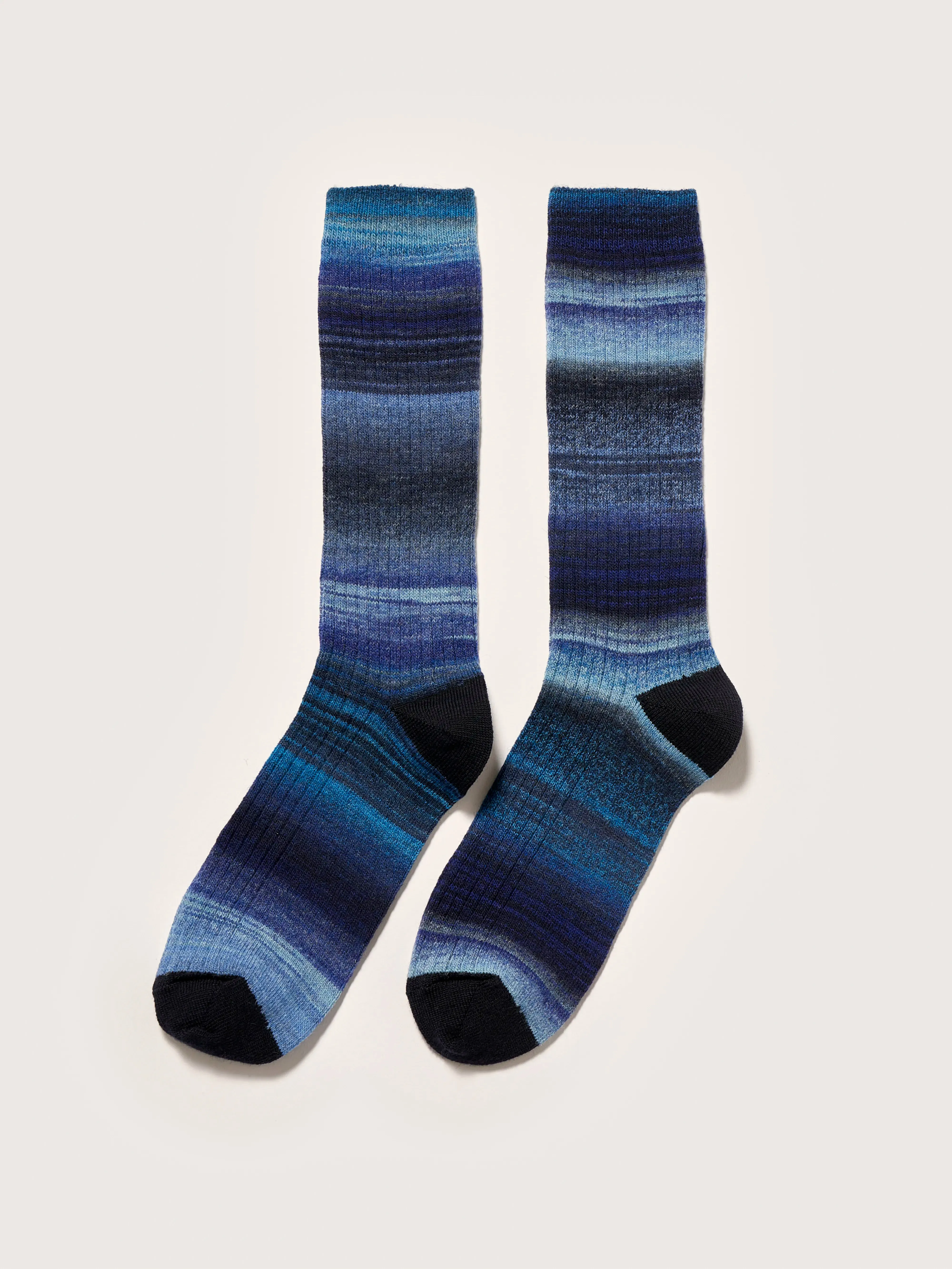 Baque rib-knit socks (242 / W / COMBO C)