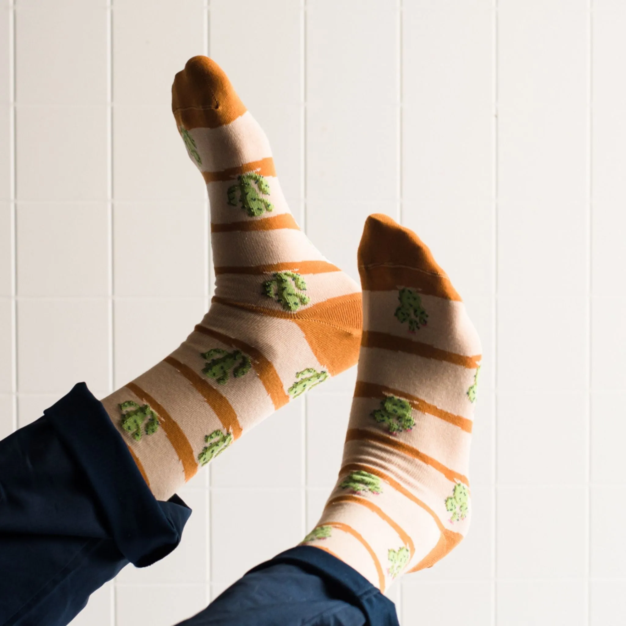 Men's Striped Cactus Socks