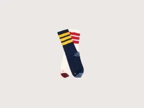 Premium Mid Crew Socks for Women (242 / W / MULTICOLOR)